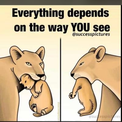 Amil_hussain931's profile picture. Dont count the days… Make the days count…