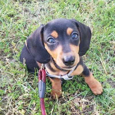 Kyle96033239's profile picture. 