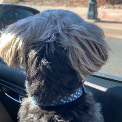 Integrative Health Coach | Colorado Xicana | Foodie | Fur Mom | My Random Thoughts