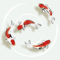 KOI (@koi_spl) 's Twitter Profile Photo KOI (@koi_spl) 's Twitter Profile Photo