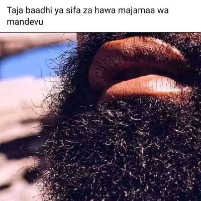 MarkMos64624448's profile picture. 