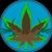 marryjane420dev's profile image