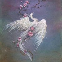Fey(互fo)fey123.bnb (@abkralhj) 's Twitter Profile