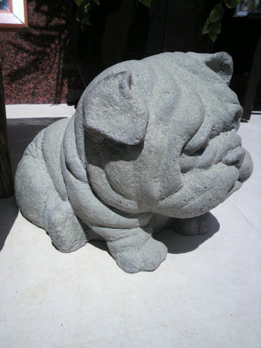 just_do_goo's profile picture. 何にもない