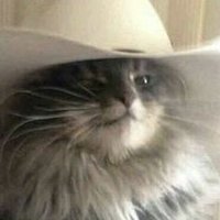 HatCat (@dixiewreckad) 's Twitter Profile