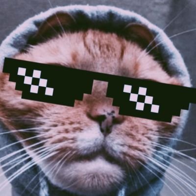 buzzrick46's profile picture. 