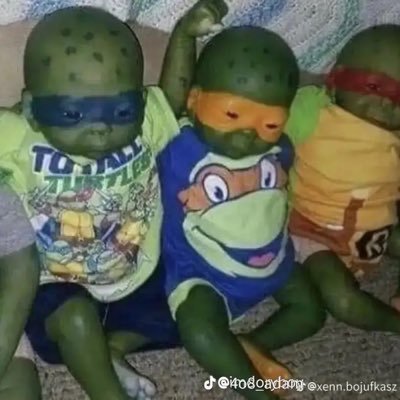 brody_shores's profile picture. 