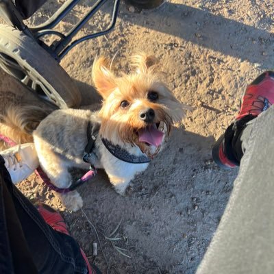 DanielFSmith's profile picture. ☯️