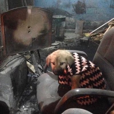 ChoZenCS's profile picture. 18 🇫🇷
hop off