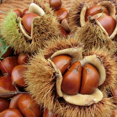 P8W6wzuyKQCX3Jd's profile picture. 