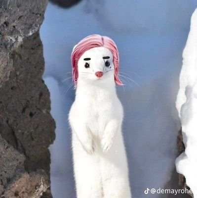 Leny_UwU_GP's profile picture. Fan account