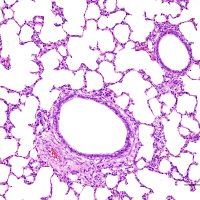 Yu Fan Hung (@yufanhung) 's Twitter Profile