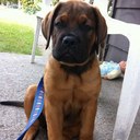 deena cooper - @dena_bee - Twitter