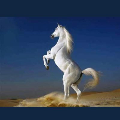 lعلى ارجوحة الزمن تعيش 🦋#الأمنيآت .. بين أفق الأمل وَ قآع الألم فَـ إدفعوهآ بِـالتفاؤل والدعاء 🕊🦋