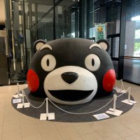 すみくん (@5e2xmsqtattv4ni) 's Twitter Profile