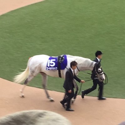 しがない競馬好きの予想アカウントはこちら 中央競馬開催日にメモ馬無料発信中！ 予想ファクターは前走不利、展開不利等炙り出しレースに繋げます。note→https://t.co/F0HzfggW2l  bookers→https://t.co/XXWnkl9vBw