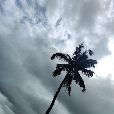 bits_roy's profile picture. 