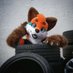 KANAN (@kanan_fox) Twitter profile photo KANAN (@kanan_fox) Twitter profile photo