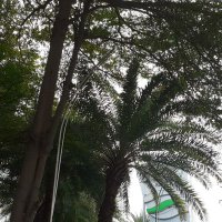 nas (@naskhr) 's Twitter Profile