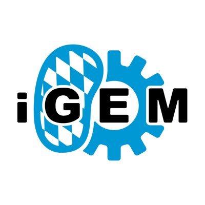 We are the iGEM team Munich, consisting of students from the LMU and TUM.