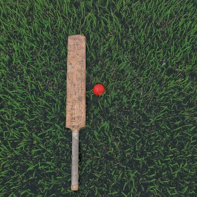 My_Daily_Review's profile picture. 