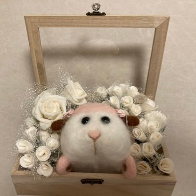 モルカーが好き☺️ 特にウェディングモルカー推し☺️💖 モルカー関係の垢で、良いと思った垢は無言フォローしますので御了承ください☺️よろしくお願いいたします ☺️ 神社巡りも好き⛩️