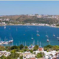 Behiye Sabuncuoglu (@sbehiyeden) 's Twitter Profile