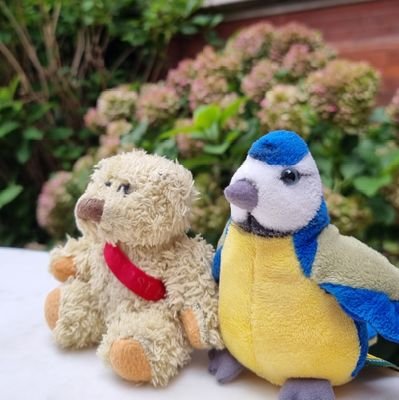 Two cuddlies who enjoy public transport and visiting different places round the UK. Our humans are @krutlidge and @sallyrush13, and we try to keep them in line!