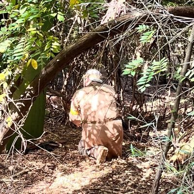 やぐるまザビー【戦う料理人】さんのプロフィール画像