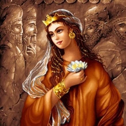 IranShahdokht's profile picture. 