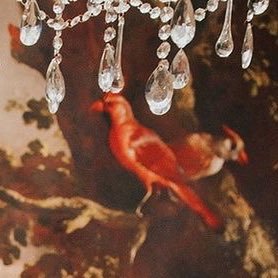 igy7jb4e6h5s61's profile picture. 大好きです 無言フォローすみません ROM用垢 25↑