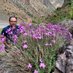 Flora Of Iran ، majidi ramiar (@ramiar170) Twitter profile photo Flora Of Iran ، majidi ramiar (@ramiar170) Twitter profile photo