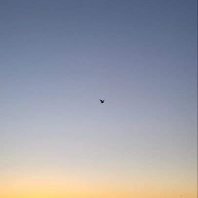 0YYN1LgwMXP9MUi's profile picture. 오직여니님만♡♡♡