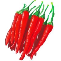🌶〈トウガラシィ/吉 (@chan4__8822) 's Twitter Profile Photo 🌶〈トウガラシィ/吉 (@chan4__8822) 's Twitter Profile Photo