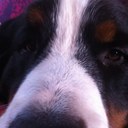 bernard benjamin - @plug62 - Twitter