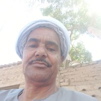 عوض عبدالله عمرالانصاري (@ahjgfshh) Twitter profile photo