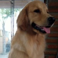 Naldo Alonso (@naldoalonso68) 's Twitter Profile Photo Naldo Alonso (@naldoalonso68) 's Twitter Profile Photo