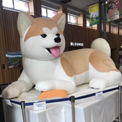 秋田出身のワーキングマザー弁護士/大都会東京で奮闘中/発言は個人の見解https://t.co/qtnuRSZ4M1