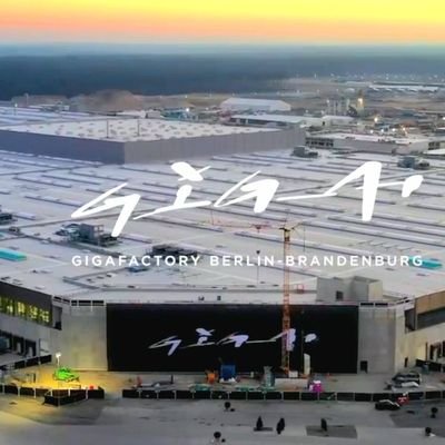 Mr_Max_Kreschel's profile picture. 