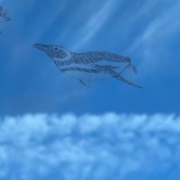 ゆい (@anhidenuma) 's Twitter Profile