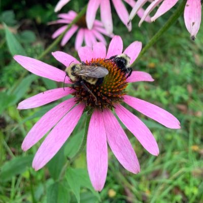 South_Paw65's profile picture. I like spilled beans and bears…