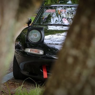 むぎ
