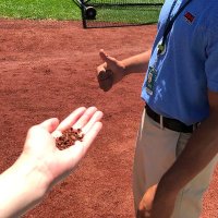 野球チケット博物館 (@baseball_ticket) 's Twitter Profile Photo 野球チケット博物館 (@baseball_ticket) 's Twitter Profile Photo
