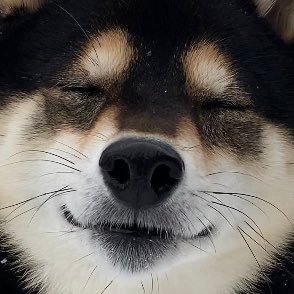 ぽんすけ ぽんすけ ぽんすけ (@PONSKE_ZZ) / X