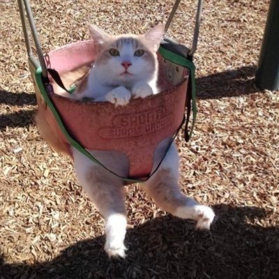 mommy1276's profile picture. 
