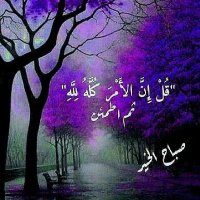 Hussein Alasaad (@husseinalasaad4) 's Twitter Profile