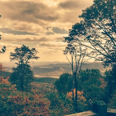 gondolon's profile picture. Back because of Elon Musk. #MAGA, #America First, #TrumpRepublican, #1A, #2A, Husband, Father of 4. Follows politics because it's my to be vigilant.