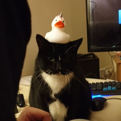 Lurkercatさんのプロフィール画像