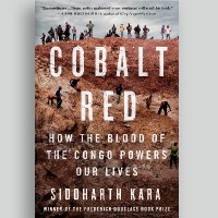 Nuestras baterías están manchadas de sangre: así es la explotación infantil  en las minas de cobalto del Congo