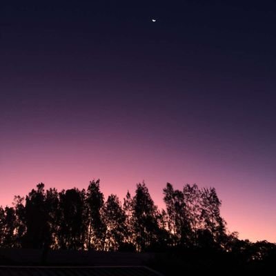 Sakura879481041's profile picture. karlnap fan and dsmp obsession, also BANTER!!!! and DTQK